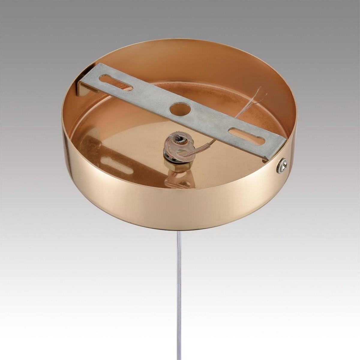 Подвесные светодиодные светильники Светильник подвесной LUMION 8083/1A RIMINI 