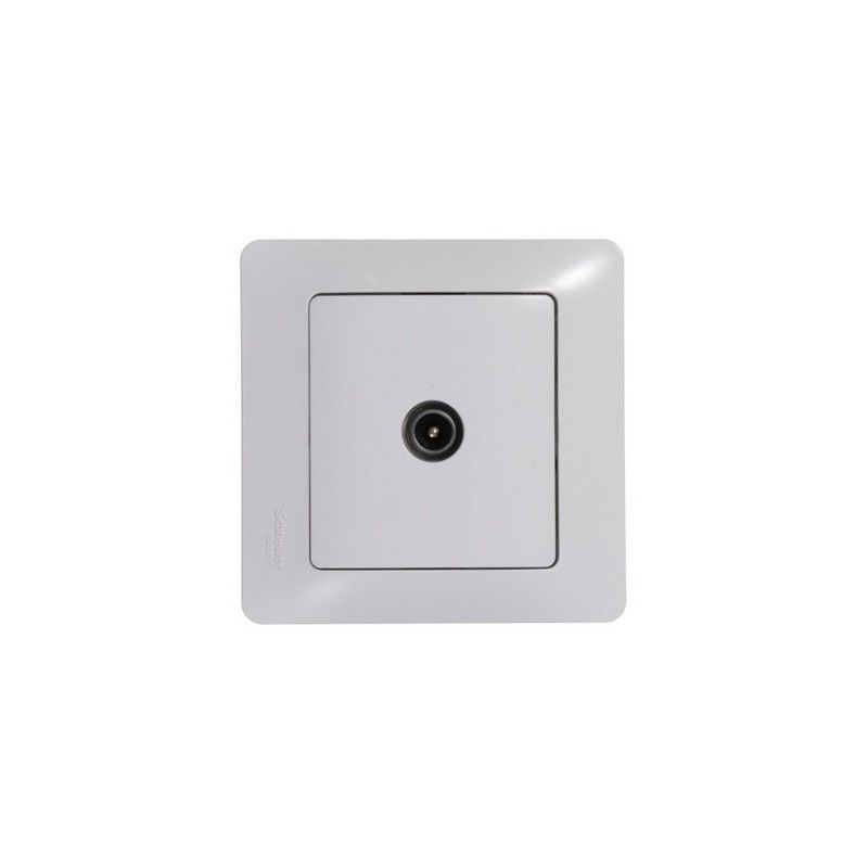 Glossa Белый Розетка Systeme Electric Glossa Белый TV одиночная 1DB GSL000191