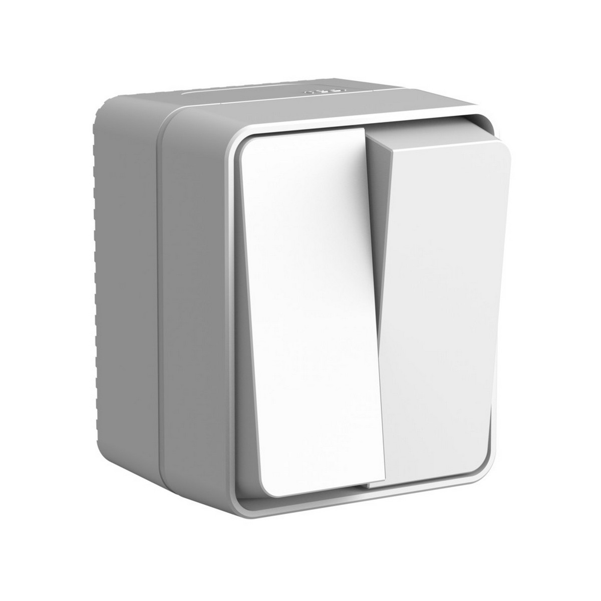 AtlasDesign Алюминий Выключатель Systeme Electric AtlasDesign Profi54 Наруж Серый 2-клавишный 10 АХ ATN543051