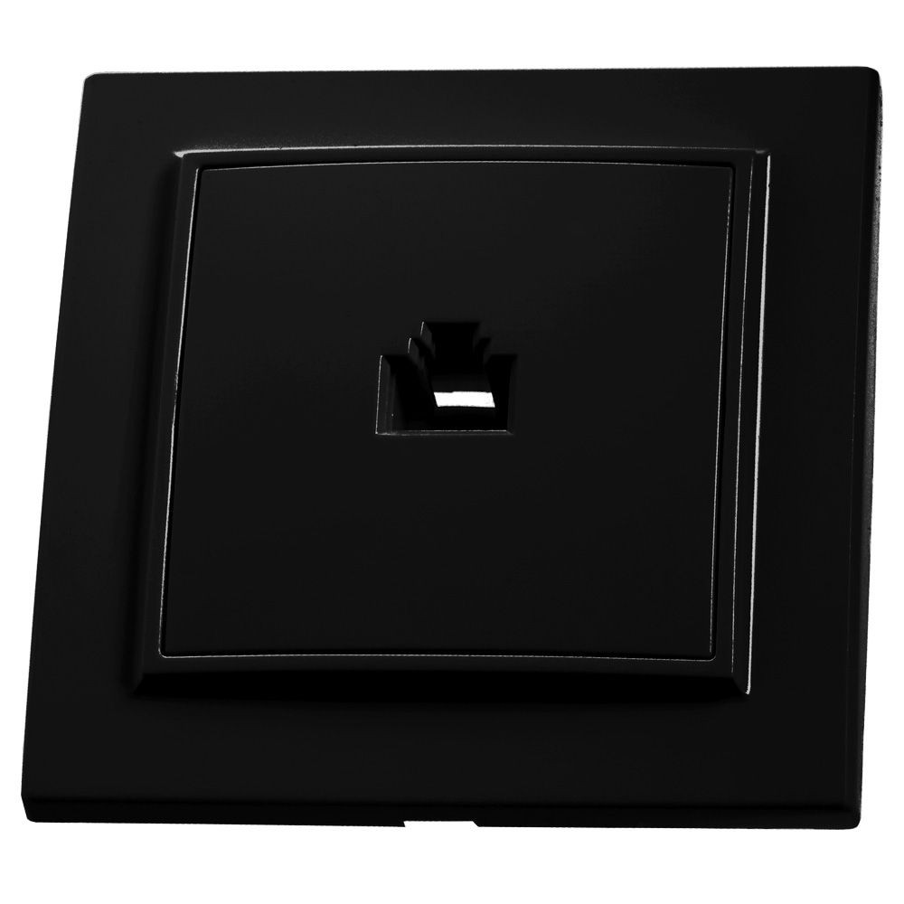 Эрна - Розетки и выключатели Stekker Розетка компьютерная 1-местная STEKKER PST00-9007-03 RJ-45 черный Эрна с рамкой 39475