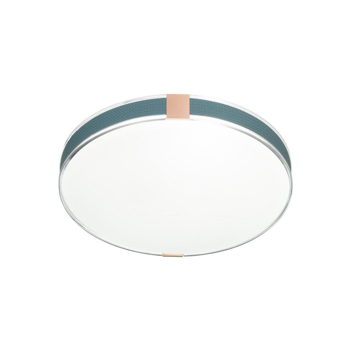 Управляемые светодиодные светильники и люстры Настенно-потолочный светильник СОНЕКС 7677/EL OTIGA BLUE 