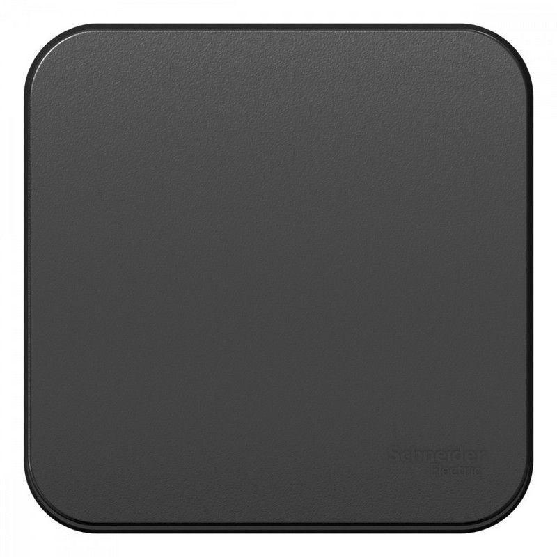 Blanca антрацит розетки и выключатели Выключатель SE Blanca 1-клавишный Антрацит наружный с самовозвратом изолир. пластина BLNCA101016