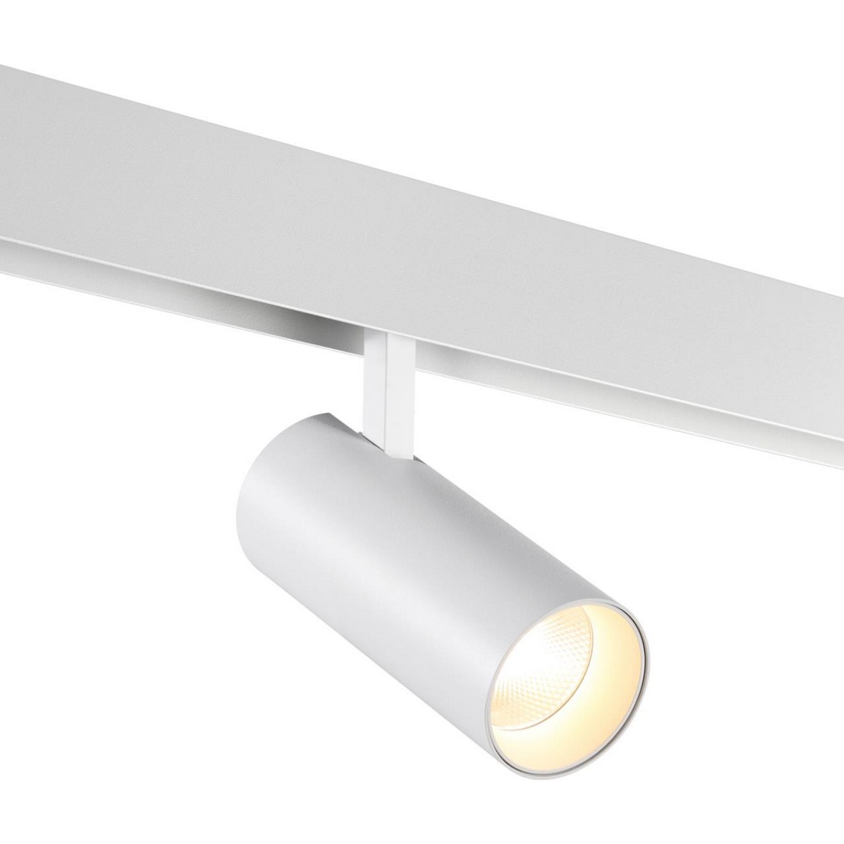 Трековые светодиодные светильники Трековый низковольтный смарт-светильник диммируемый со сменой цв.температуры NOVOTECH FLUM 359497 