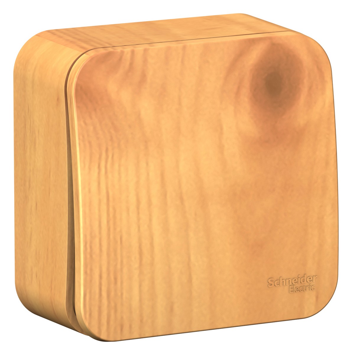 Blanca ясень розетки и выключатели Выключатель SE Blanca 1-клавишный Ясень наружный изолир. пластина BLNVA101015