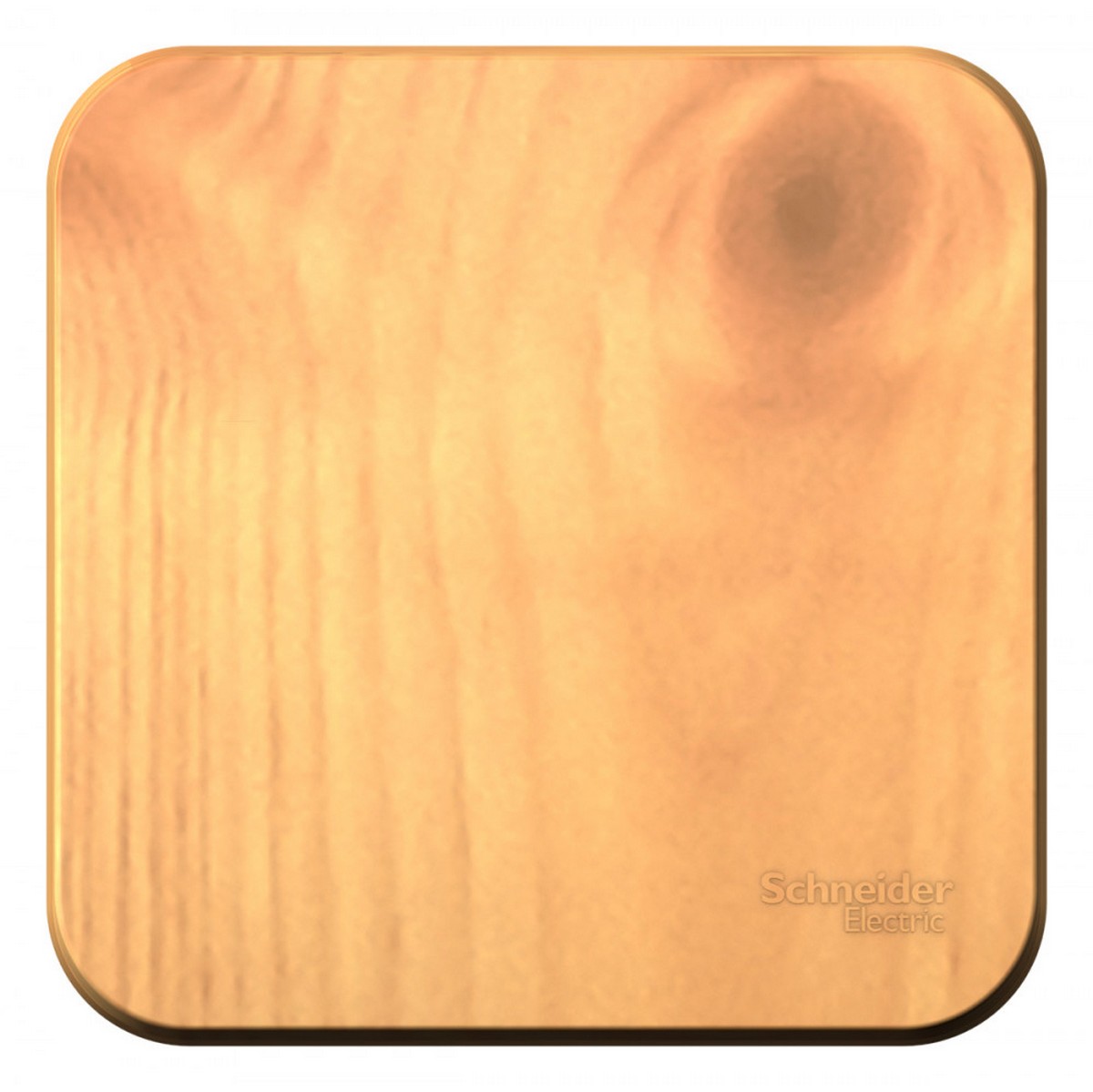 Blanca ясень розетки и выключатели Выключатель SE Blanca 1-клавишный Ясень наружный изолир. пластина BLNVA101015