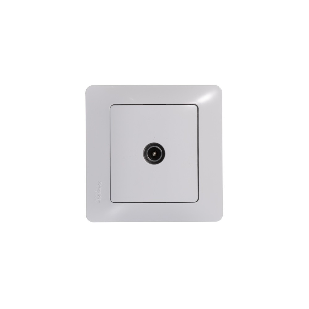 Glossa Белый Розетка Systeme Electric Glossa Белый TV одиночная 1DB GSL000191