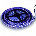 Диодная лента Светодиодная лента синяя 