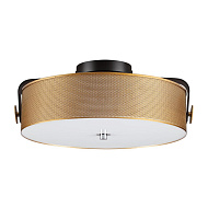 Потолочный светильник LUMION 6597/40L DRUMY