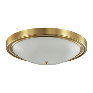 Настенно-потолочный светильник LUMION 5259/4C NINA